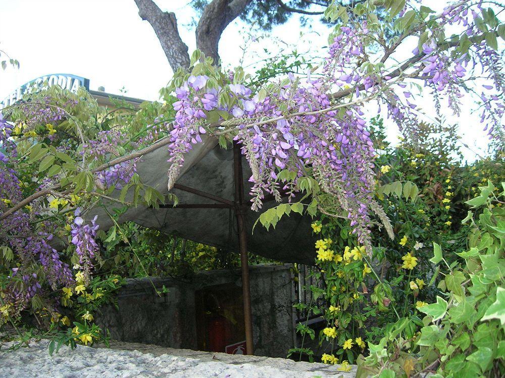 Hotel Villa Pagoda Sirmione Exteriör bild